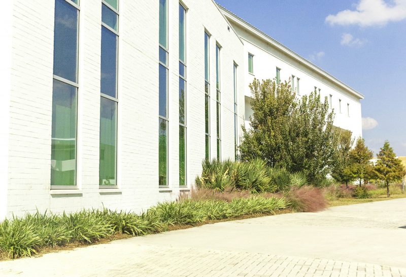 DILLARD UNIVERSITY EAST CAMPUS Dana Brown and Associates