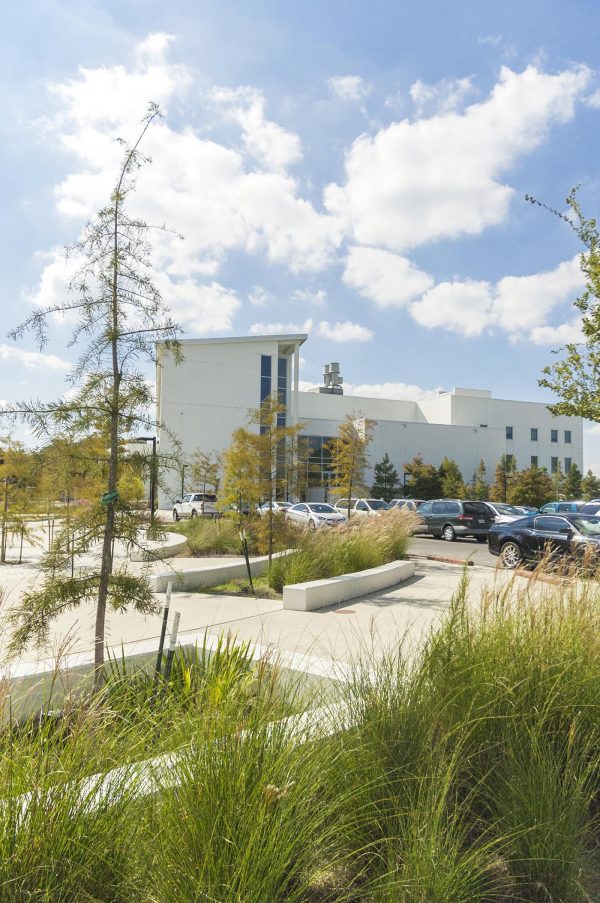 DILLARD UNIVERSITY EAST CAMPUS Dana Brown and Associates