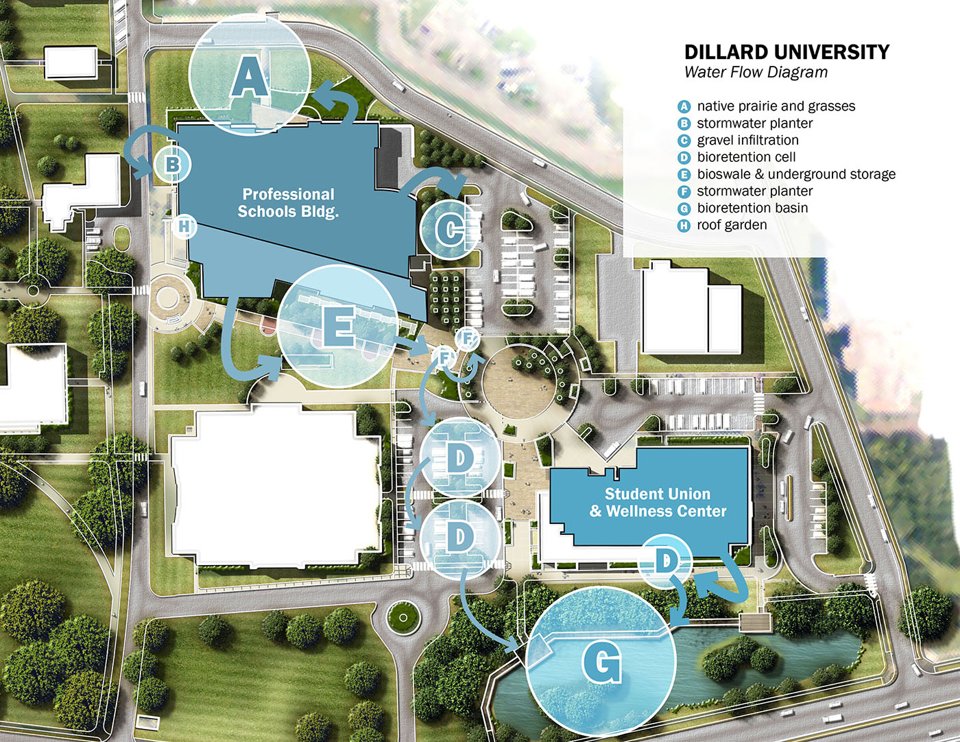 Dillard University