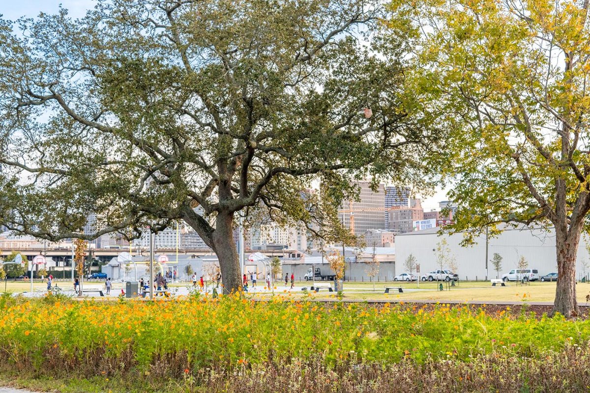 LAFITTE GREENWAY Dana Brown and Associates