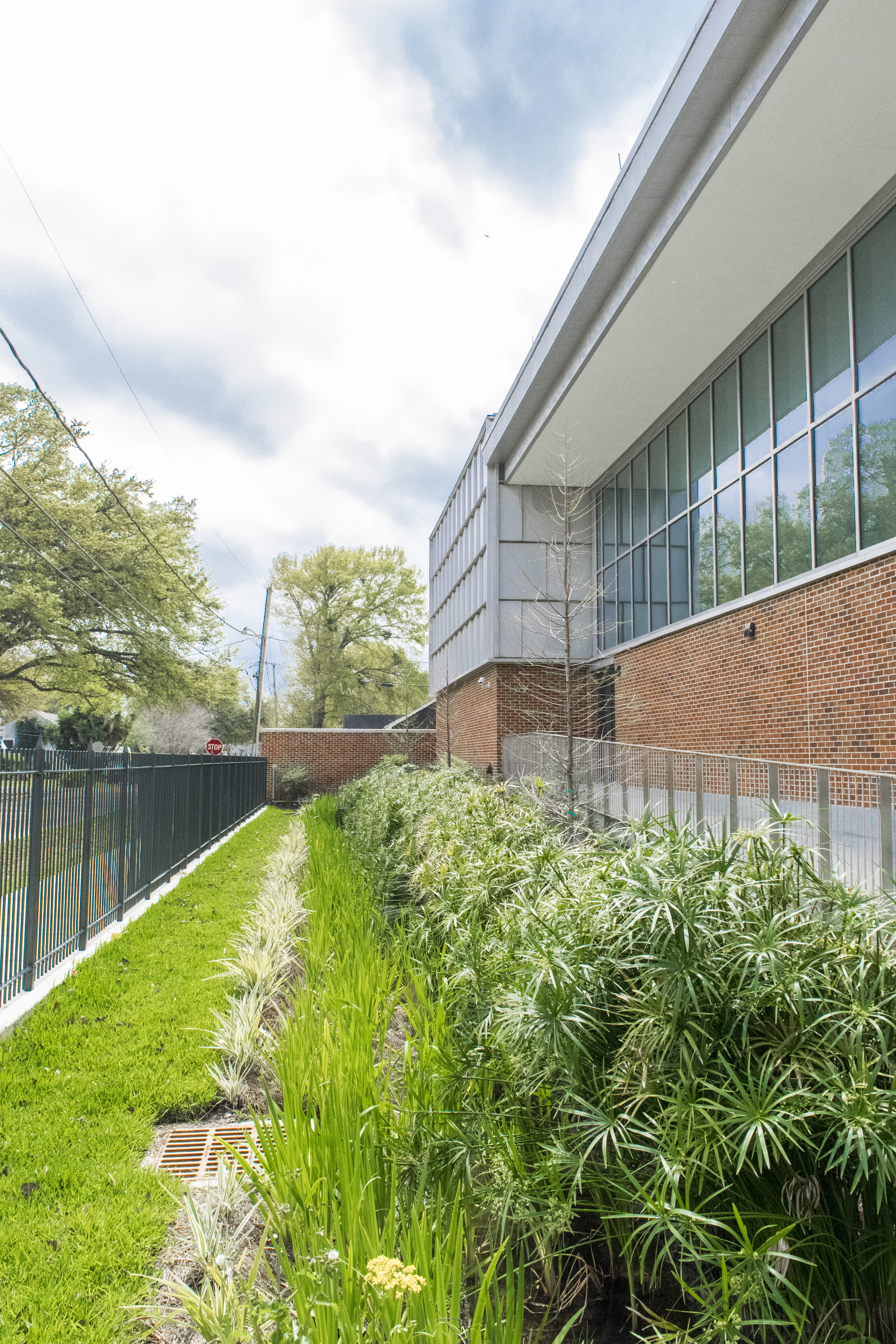 MAUMUS CENTER Dana Brown And Associates