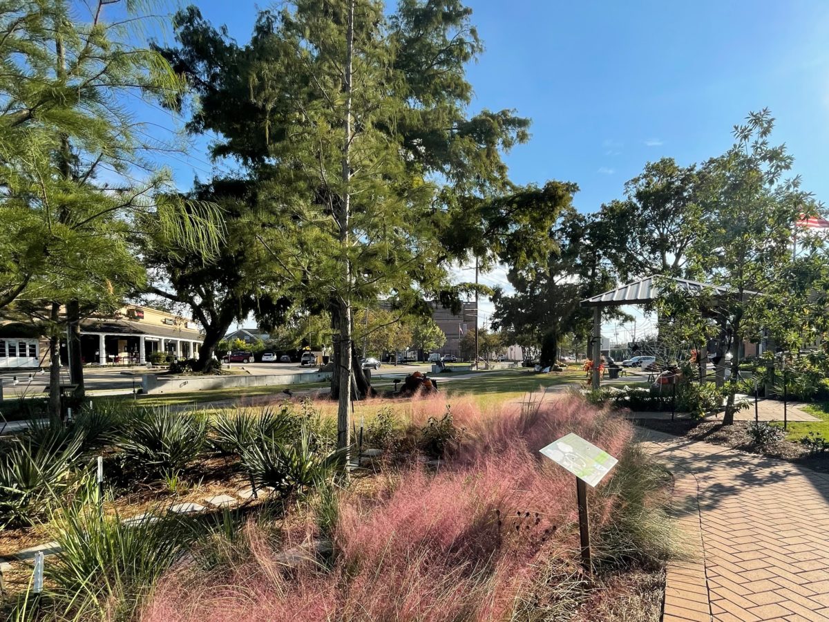 BAYOU METAIRIE PARK Dana Brown and Associates